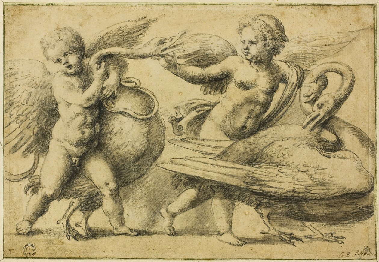 Putti che Giocano con i Cigni da School of Raphael