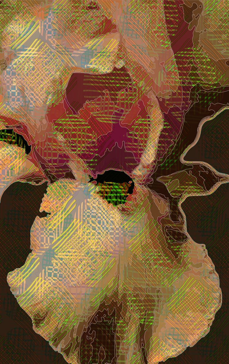Iris Barbuto da Scott J. Davis