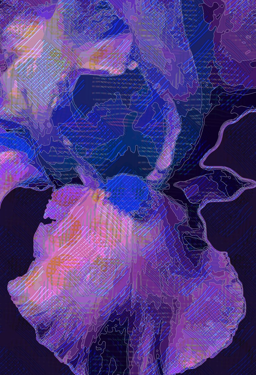 Iris blu da Scott J. Davis
