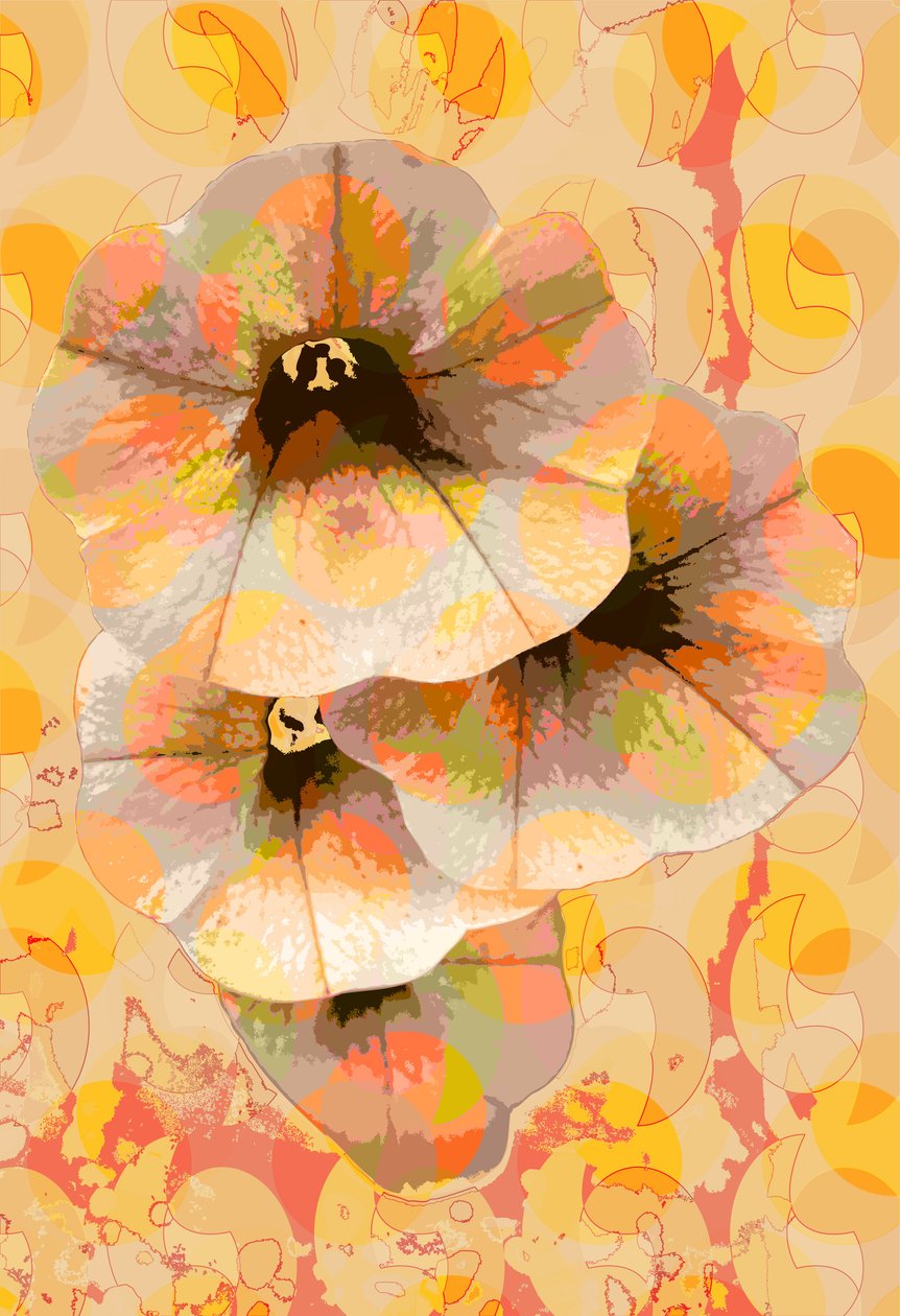 Campanule da Scott J. Davis