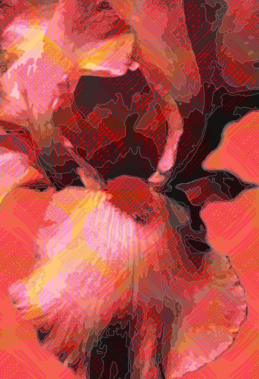 Iris arancione (digitale) da Scott J. Davis