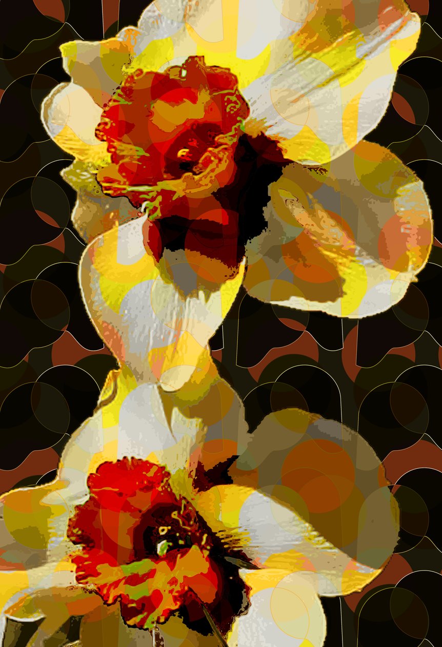 Narciso da Scott J. Davis