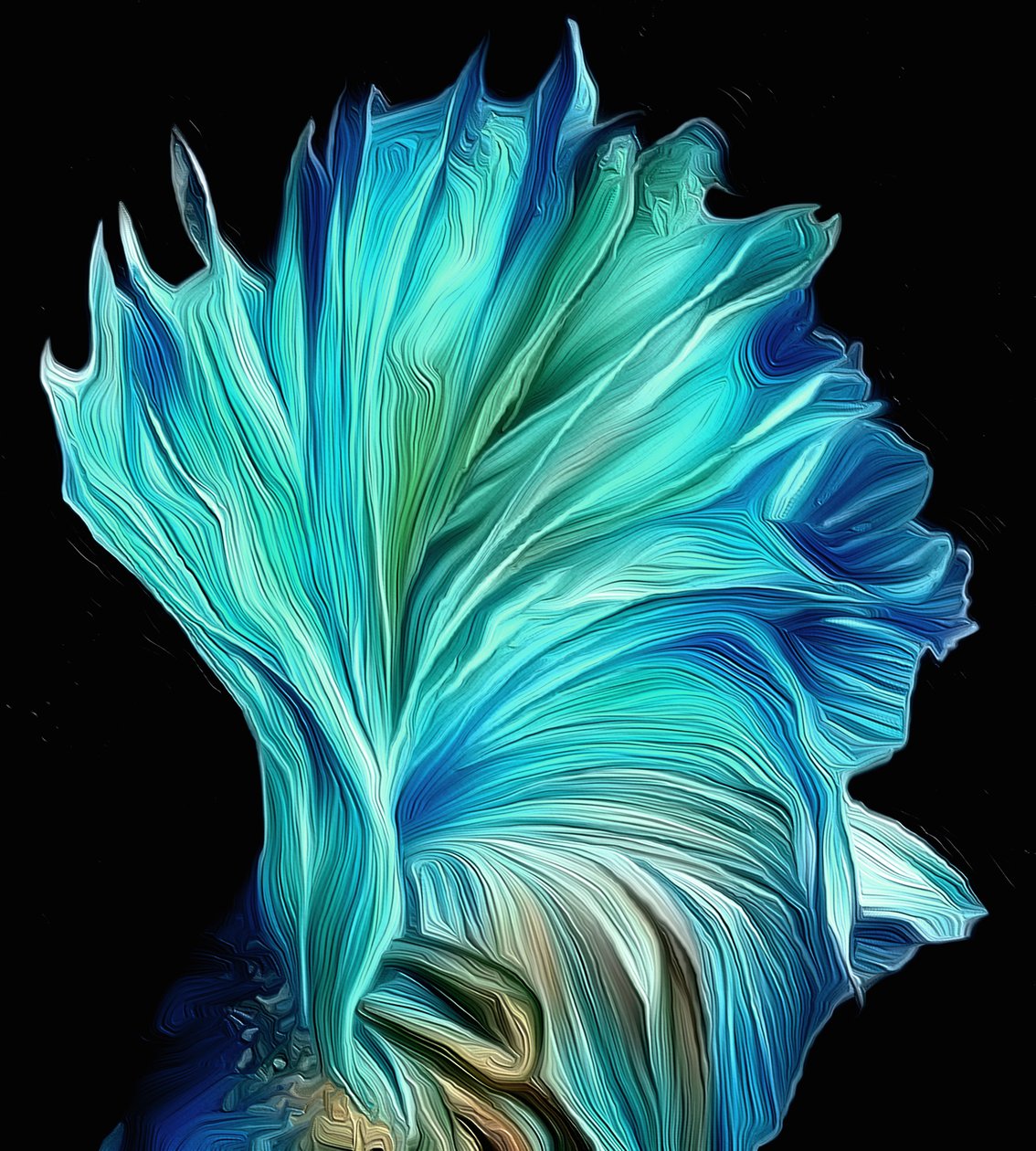 Ventaglio da Scott J. Davis