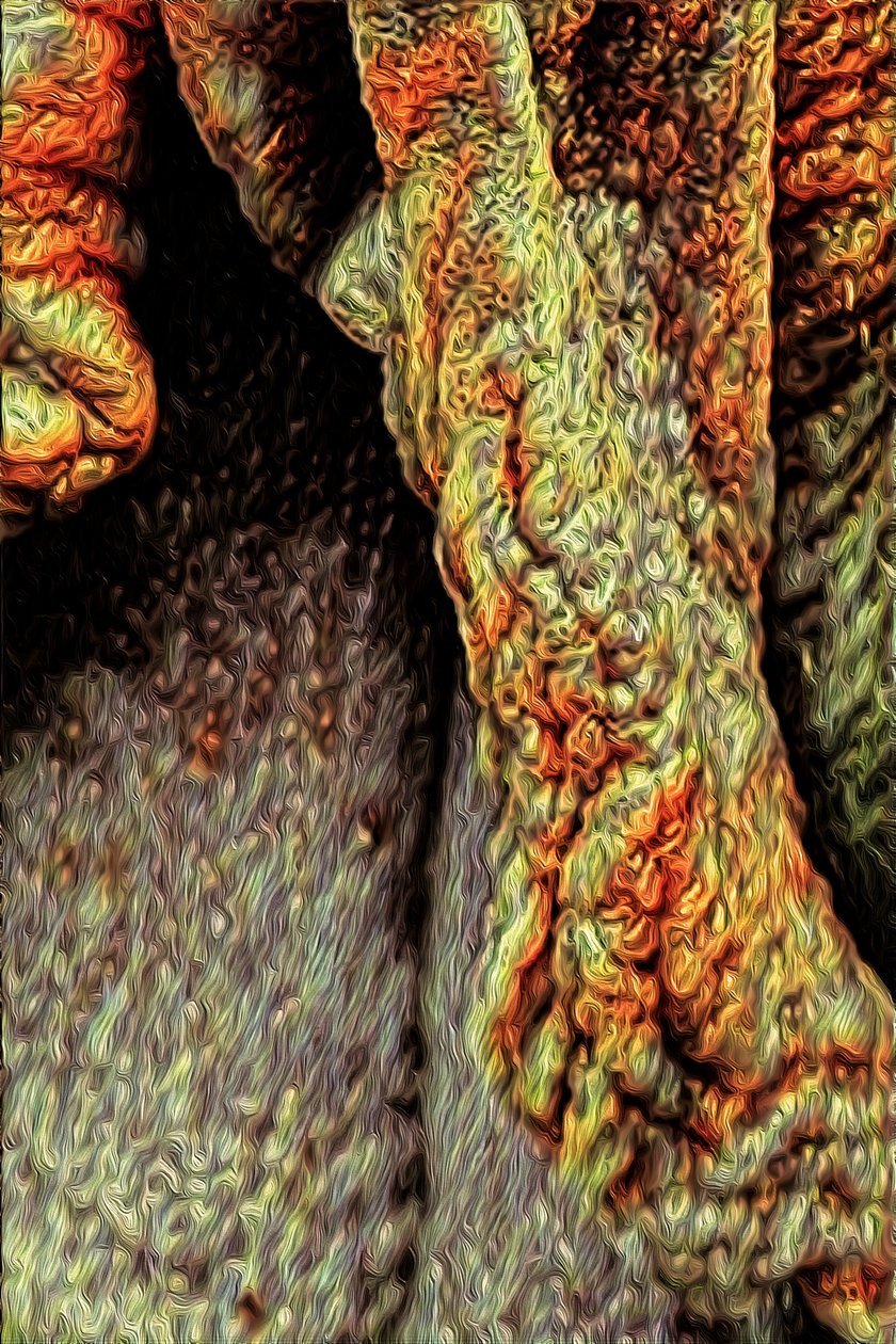 Tronco d