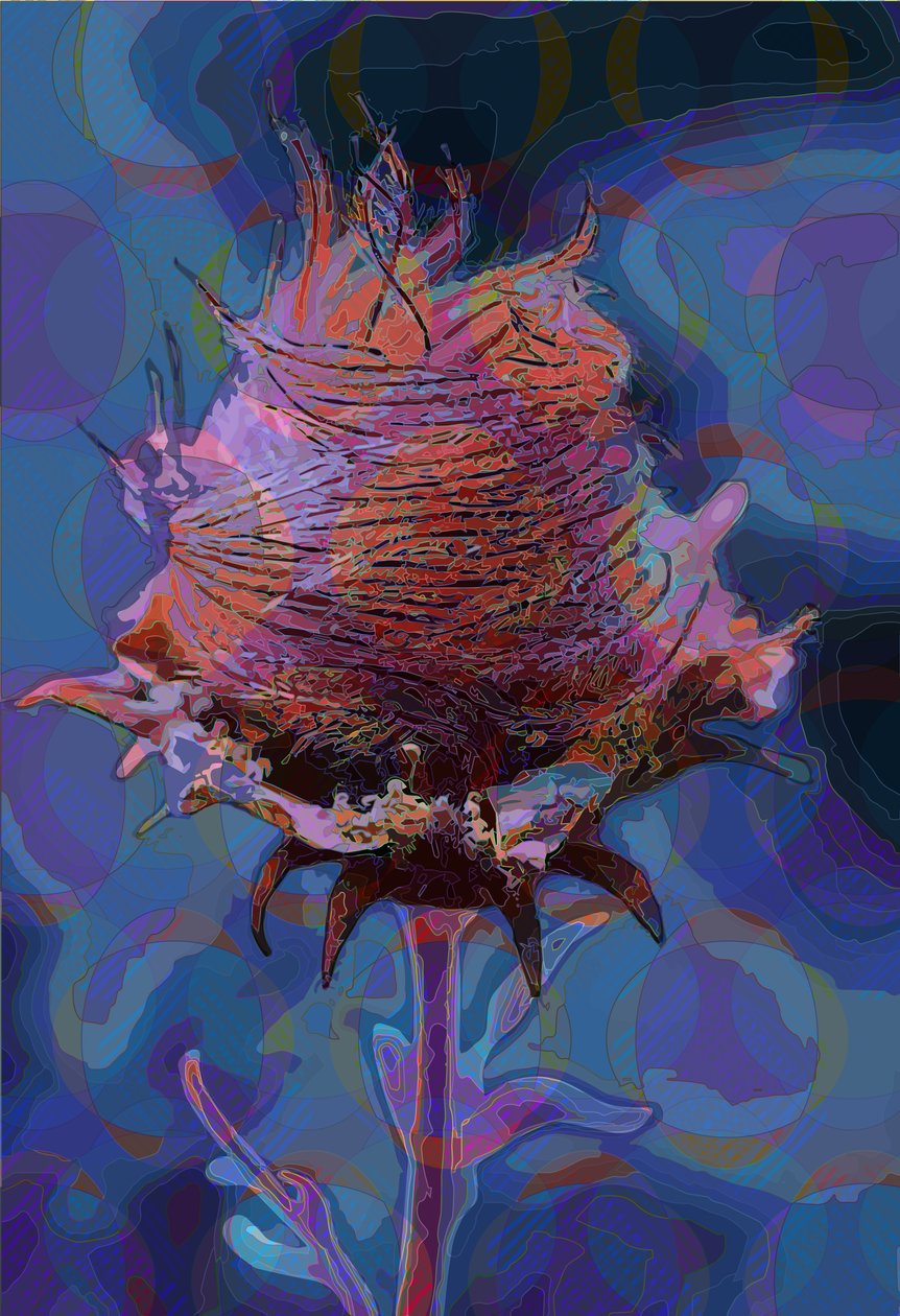 Wood Avens, 2019 da Scott J. Davis