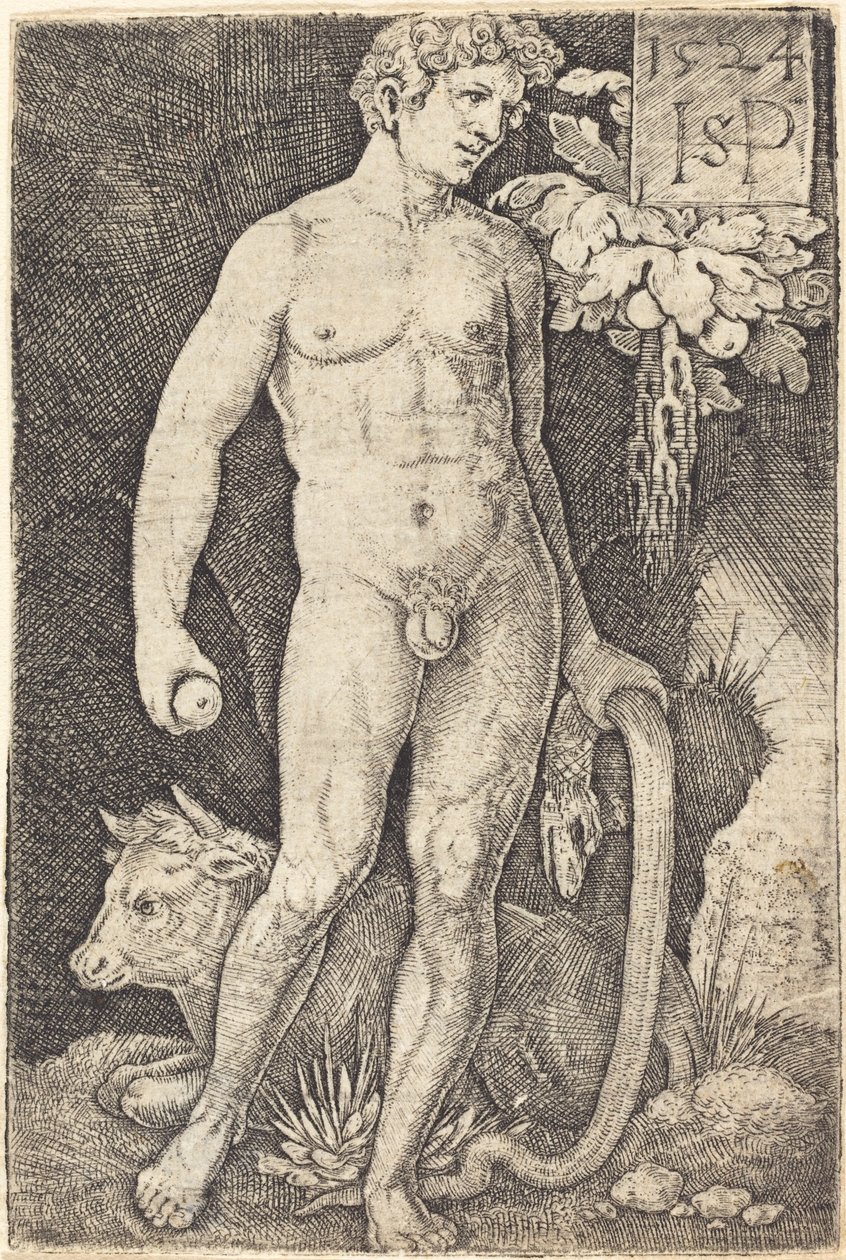 Adamo in piedi da Sebald Beham