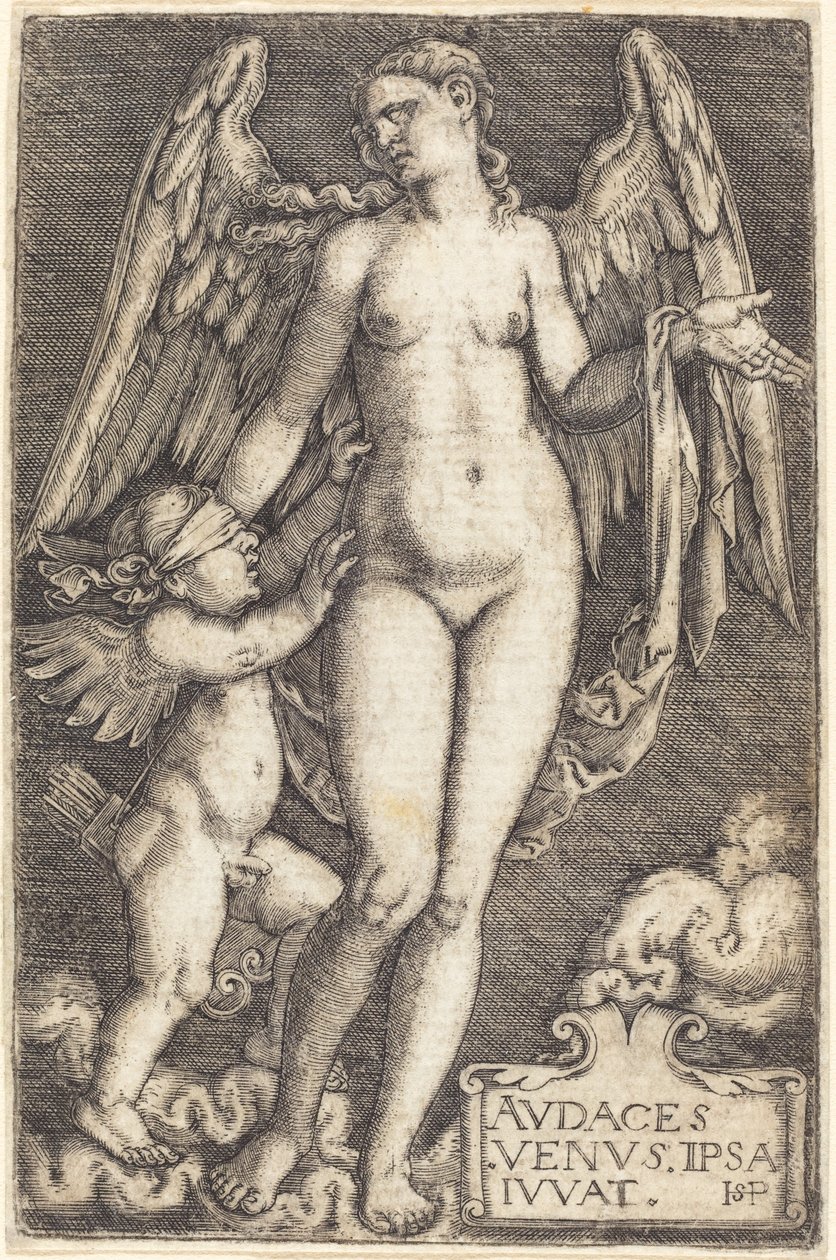 Venere e Cupido da Sebald Beham