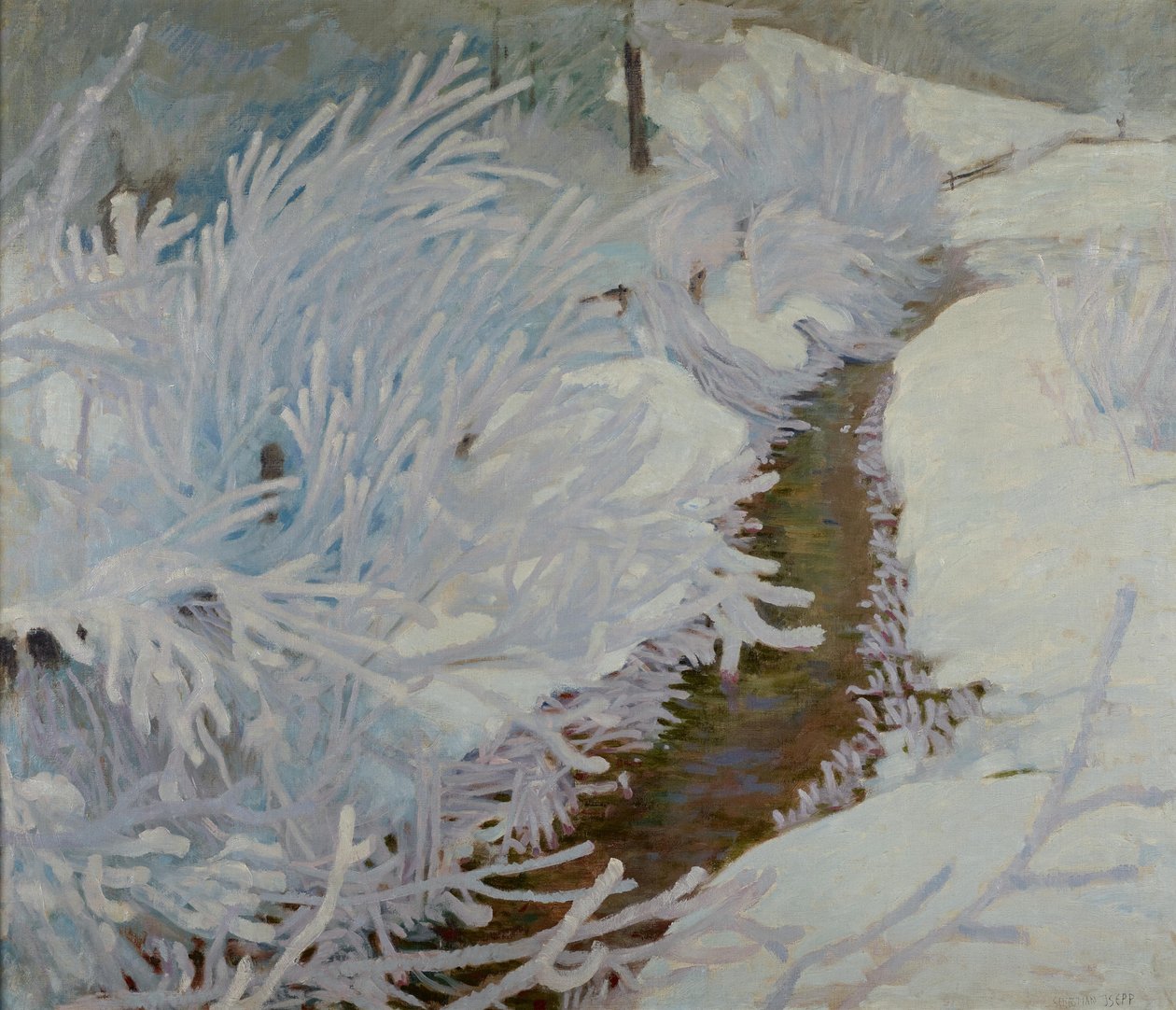 Ruscello in inverno da Sebastian Isepp