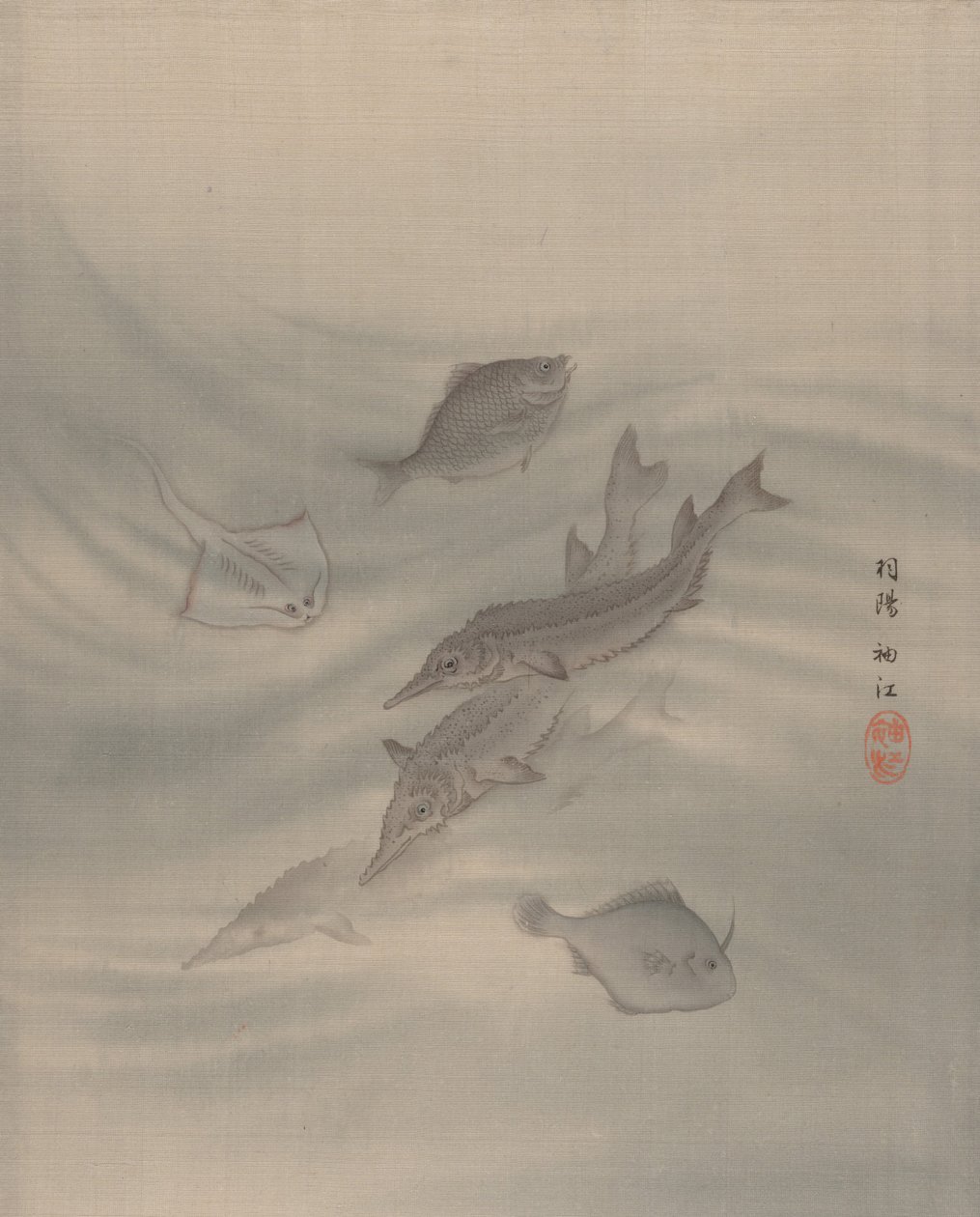 Pesci, ca. 1890-92 da Seki Shuko