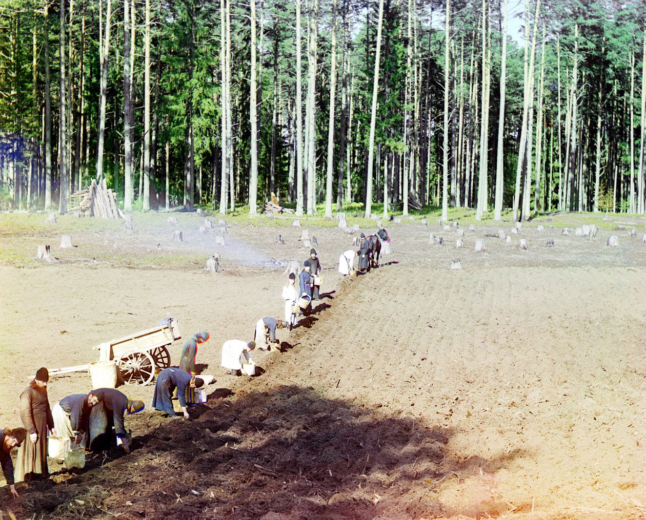 Monaci che piantano patate vicino al Monastero di Getsemani, fiume Volga, Impero Russo, 1910 da Sergey Prokudin Gorsky