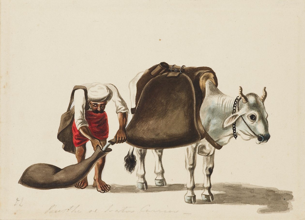 Portatore d