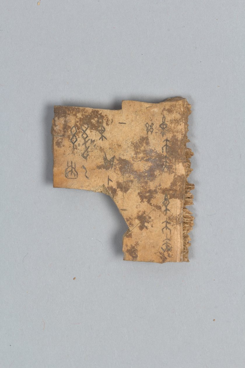 Frammento di osso divinatorio (conchiglia) da Shang Dynasty Chinese School