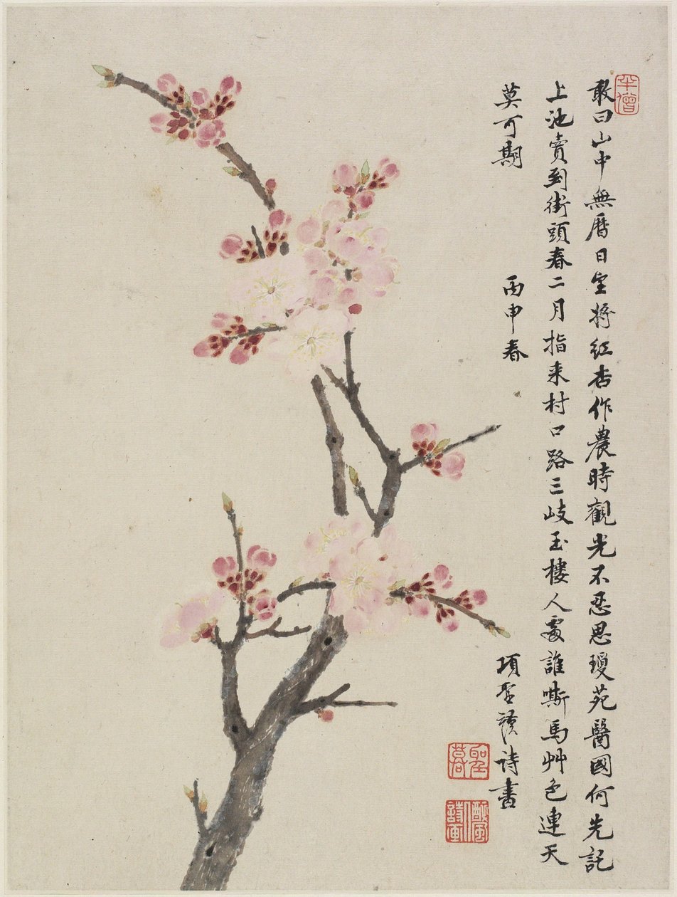 Album di dieci fogli da Shengmo Xiang