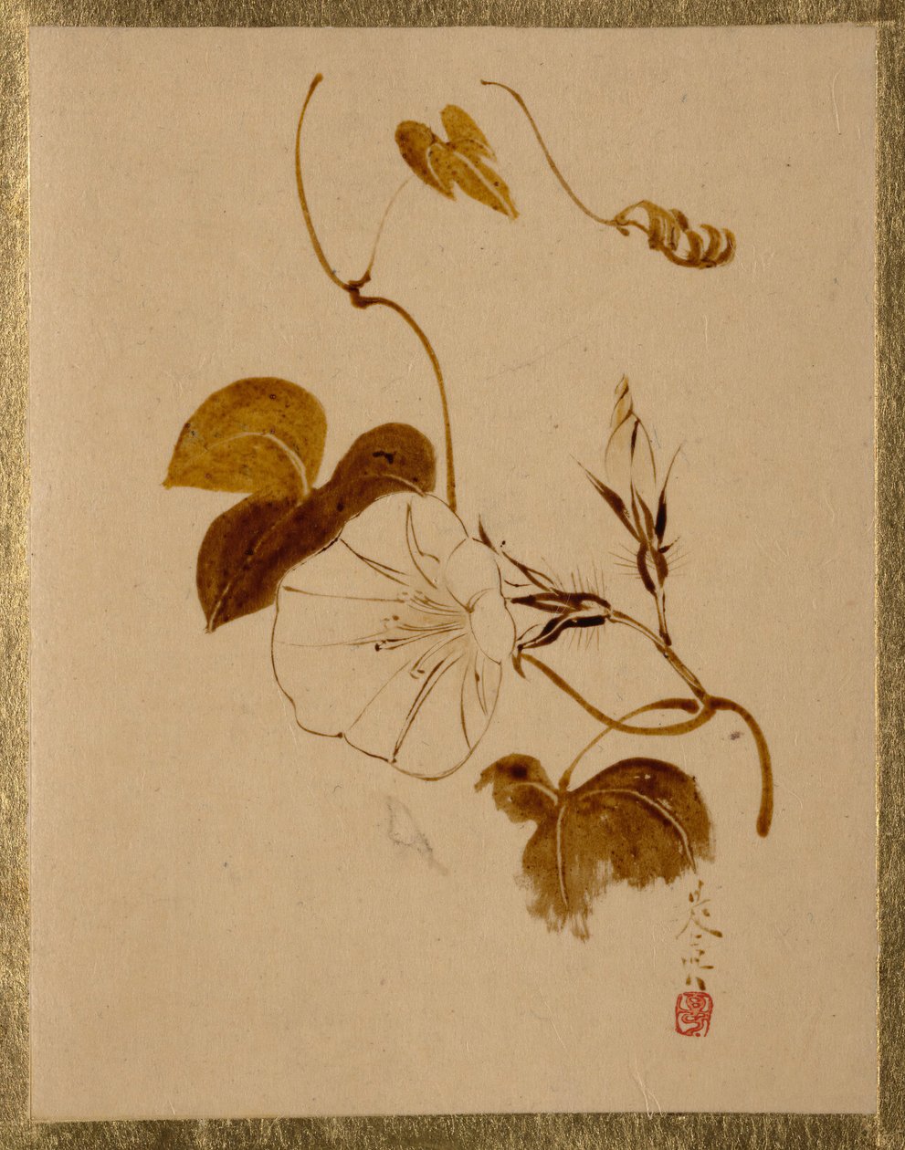 Gloria mattutina da Shibata Zeshin