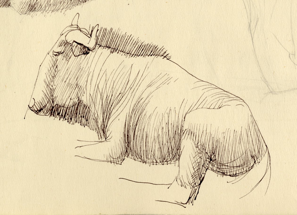 Gnu da Shirley Markham