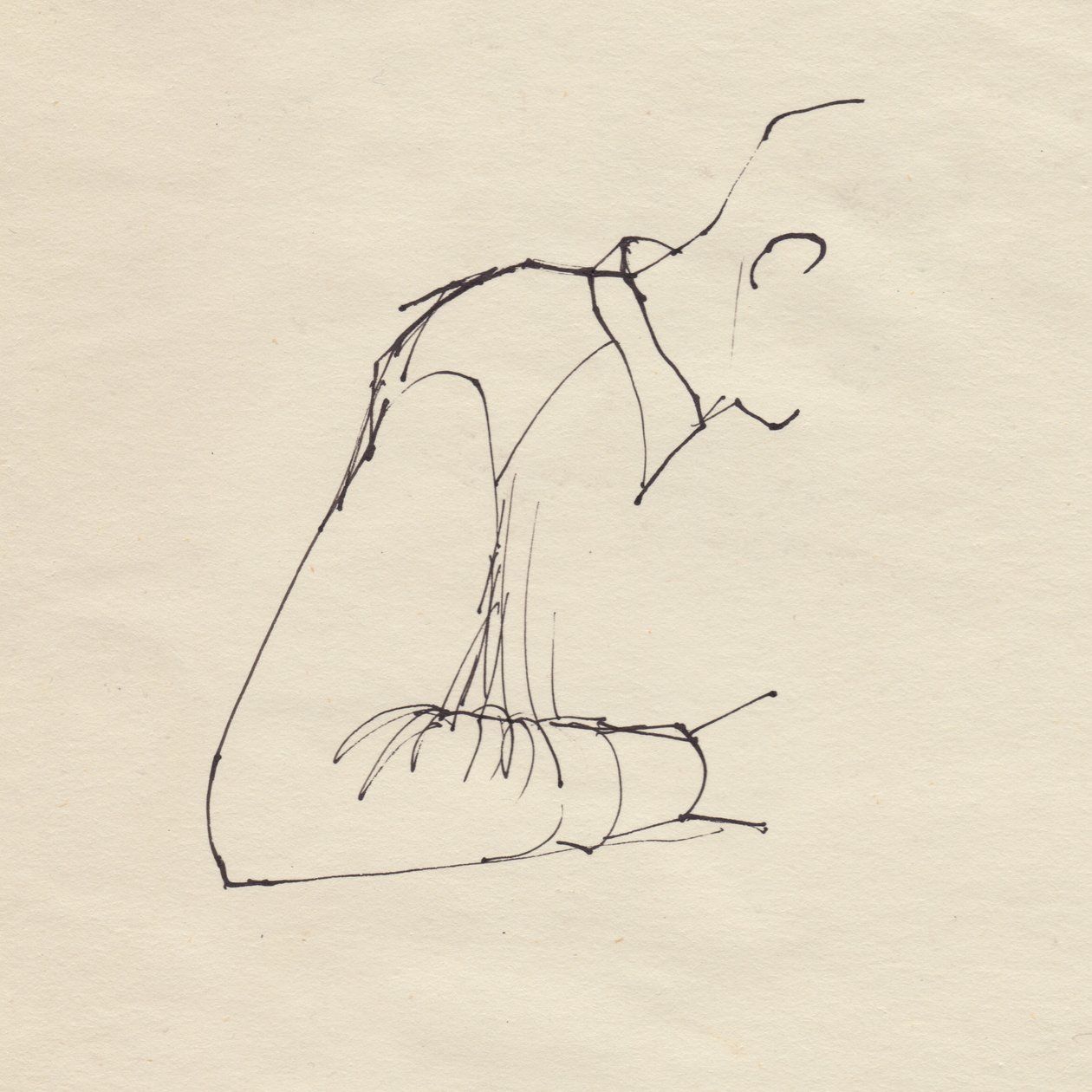 Braccio di un uomo da Shirley Markham