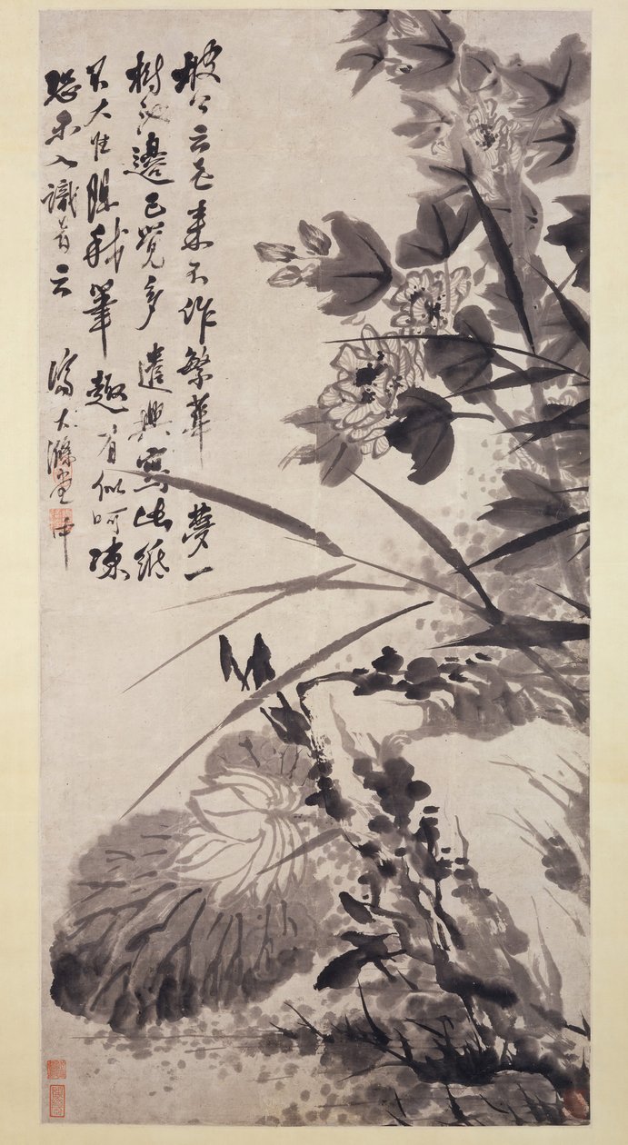 Ibisco, Loto e Roccia, ca. 1705-7 da Shitao