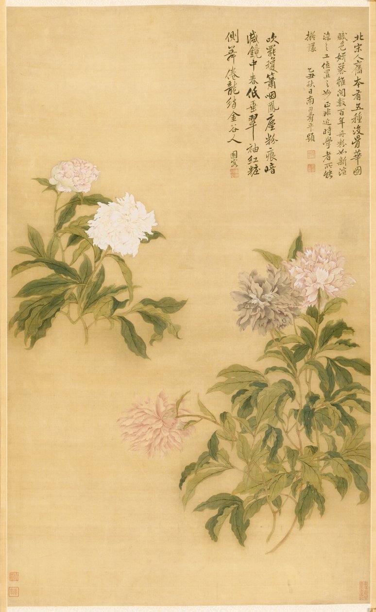 Peonie da Shouping Yun
