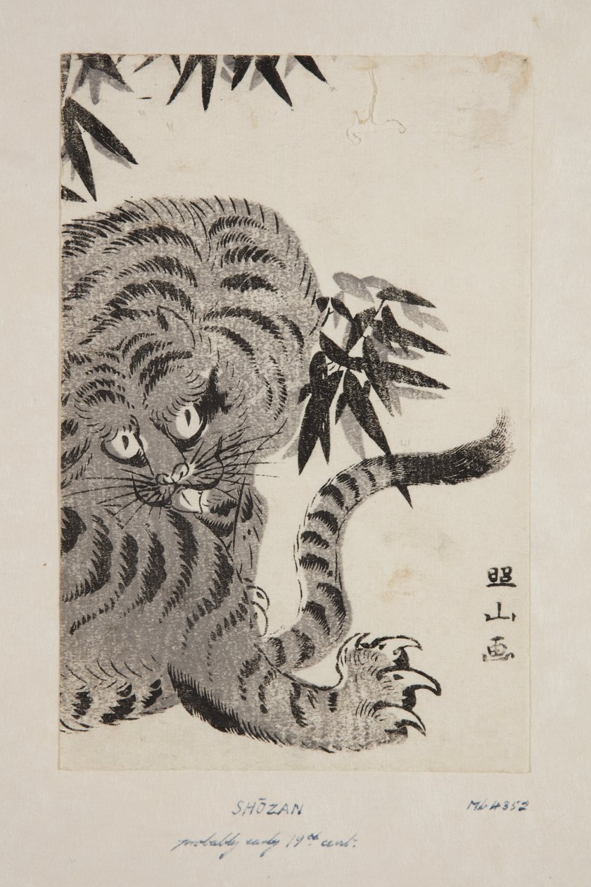 Tigre (stampa xilografica a colori) da Shozan Shozan