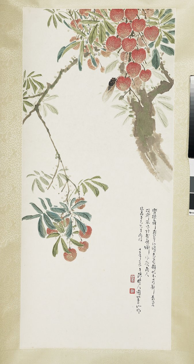 Litchi e cicala da Shuren Chen