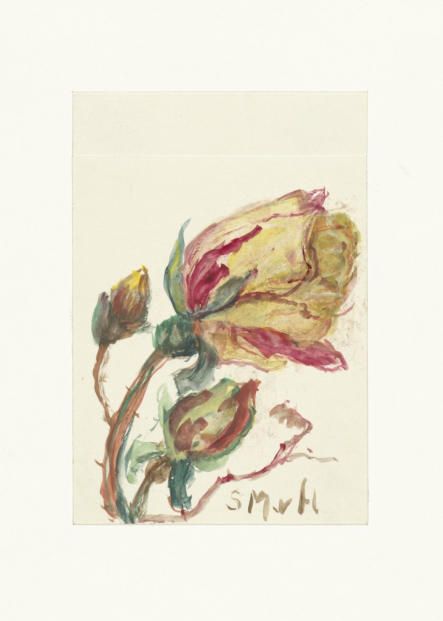 Rosa da Sientje Mesdag van Houten