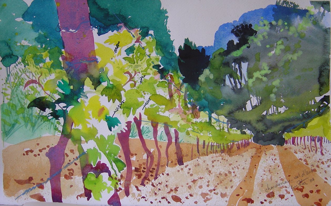 Chardonnay Val D