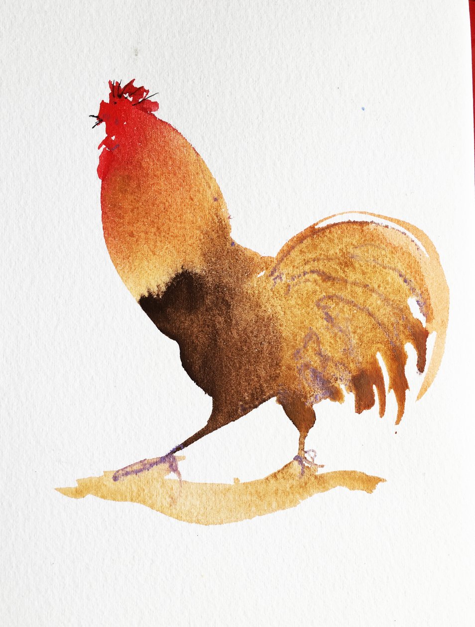 Gallo, 2020 (opera su carta) da Simon Fletcher