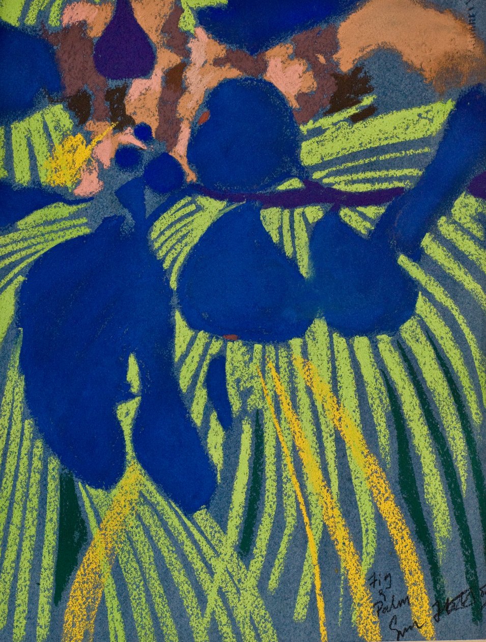 Fico e palma (pastello su carta) da Simon Fletcher