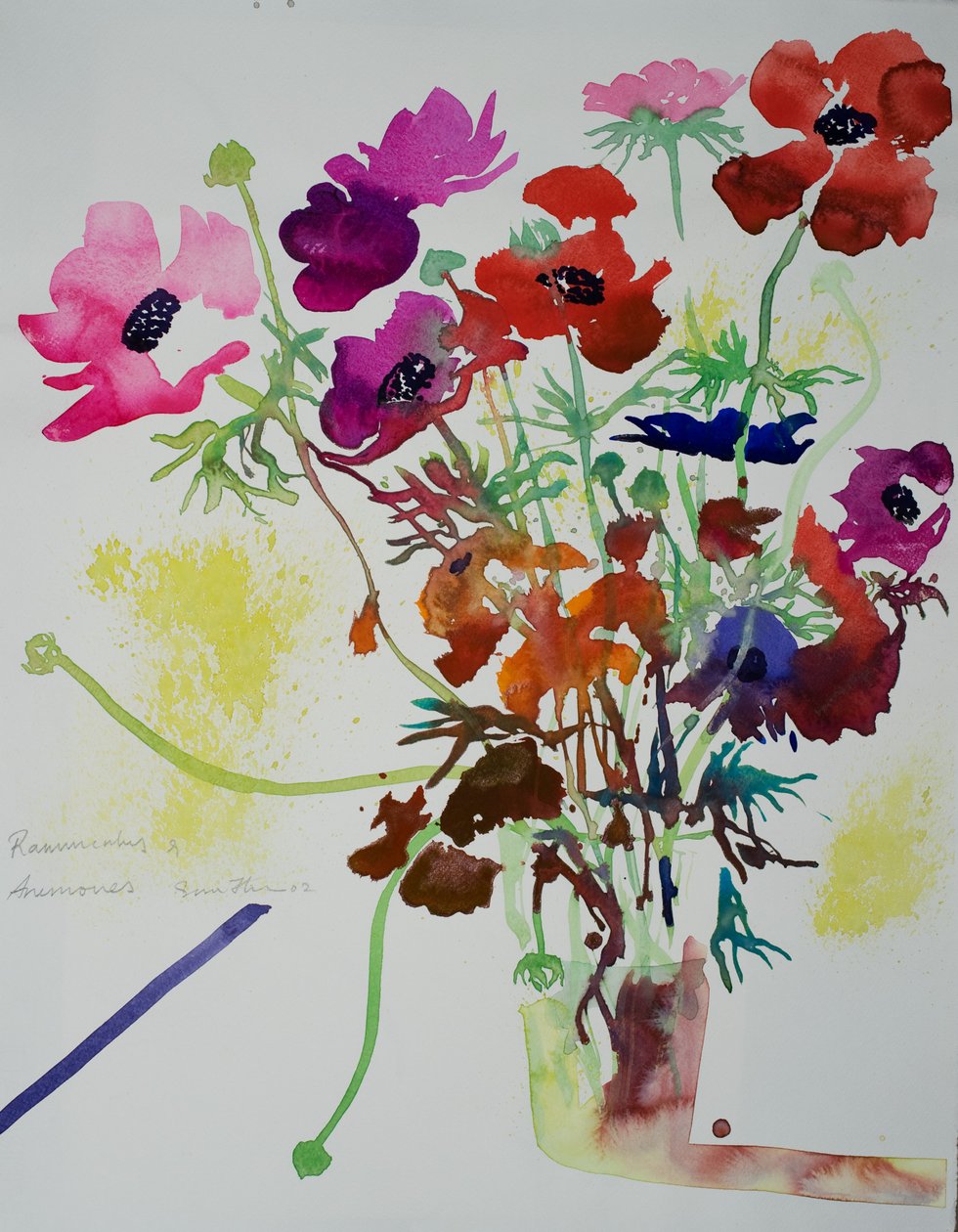 Ranuncoli e anemoni, 2010 (acquerello) da Simon Fletcher