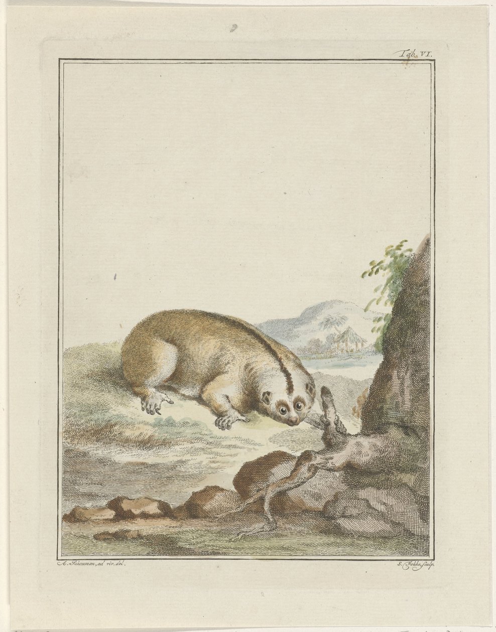 Pigrizia da Simon Fokke