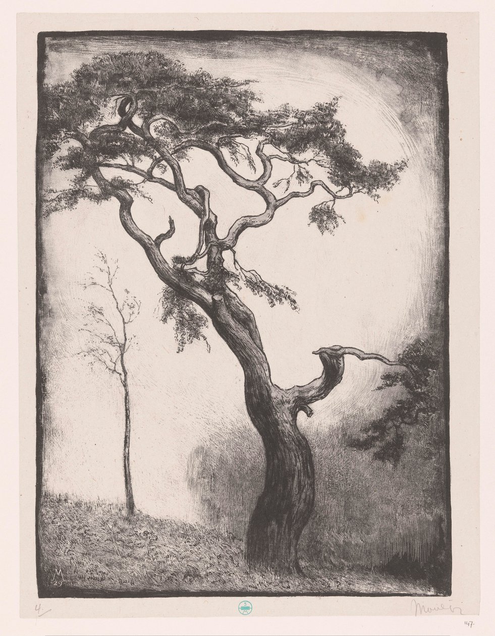 Pino da Simon Moulijn (signed by artist)