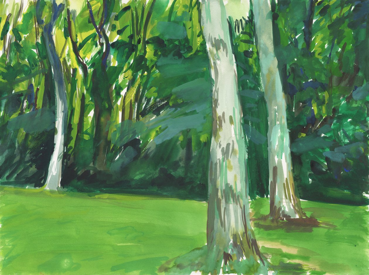 Giardino e zona umida, 2018 (acquerello su carta) da Simon Neville
