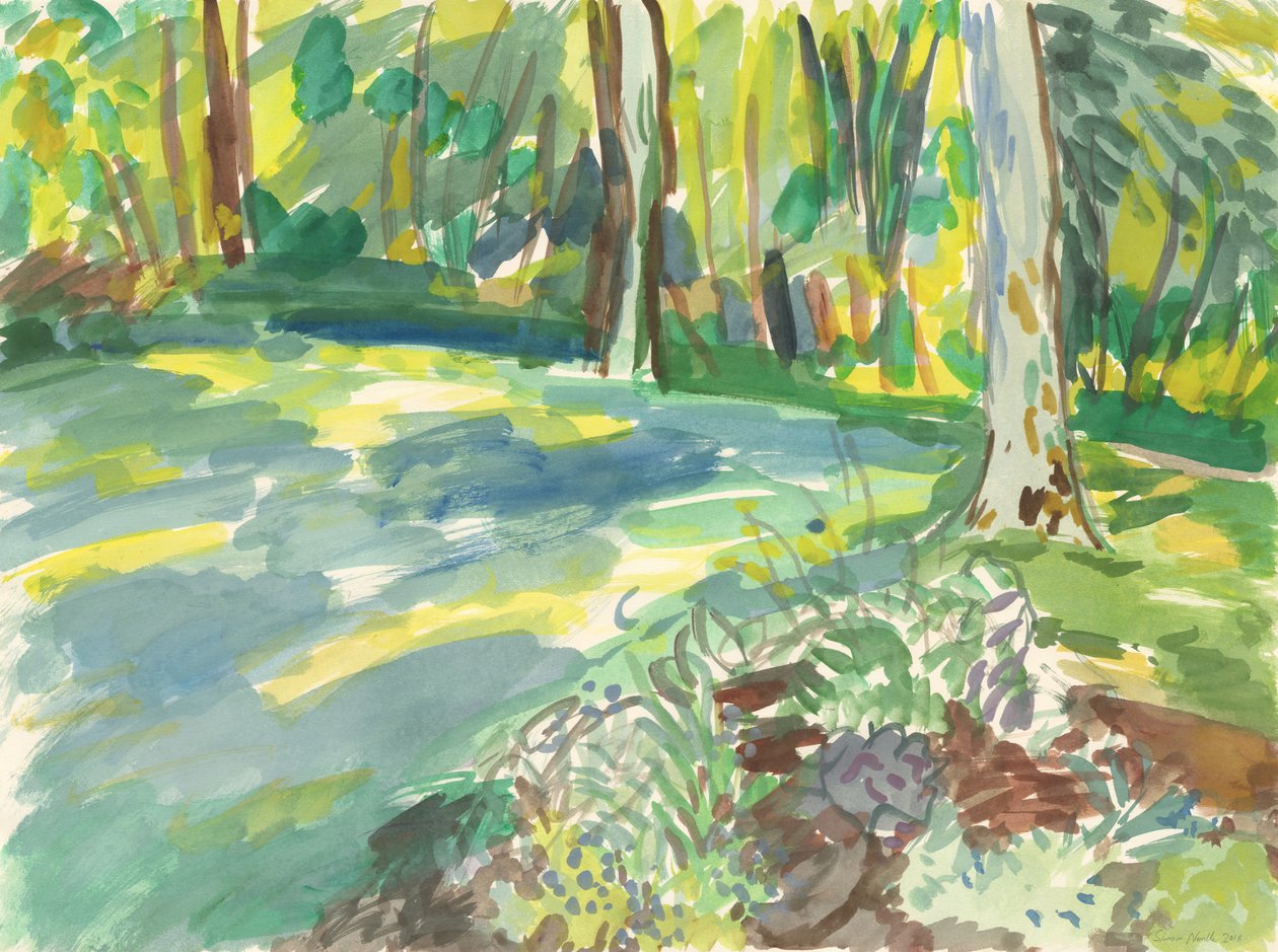 Giardino e zona umida, 2018 (acquerello su carta) da Simon Neville