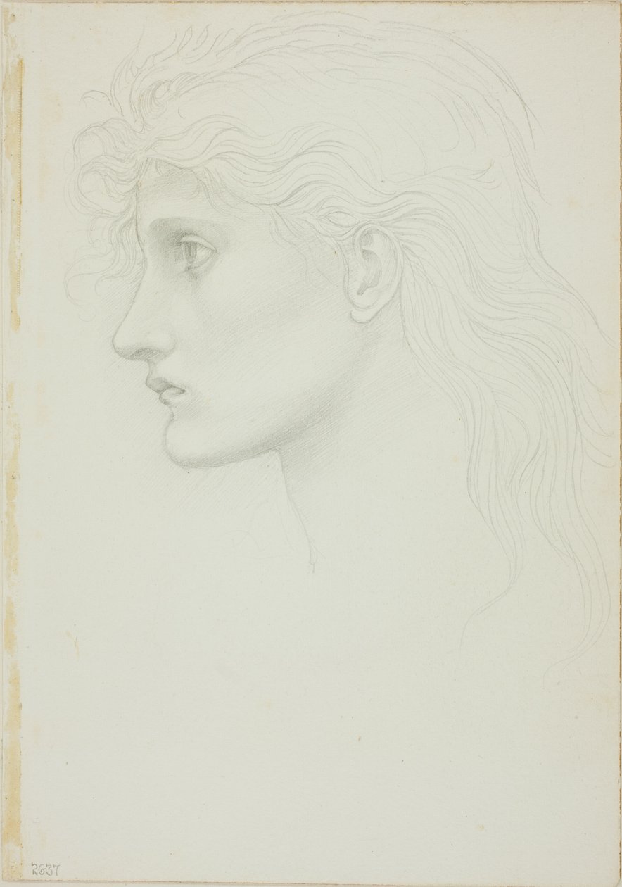 Testa di Ragazza Rivolta a Sinistra da Sir Edward Burne Jones