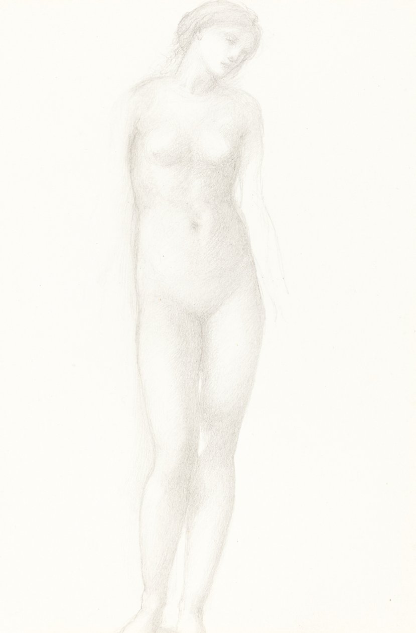 Venere da Sir Edward Coley Burne Jones