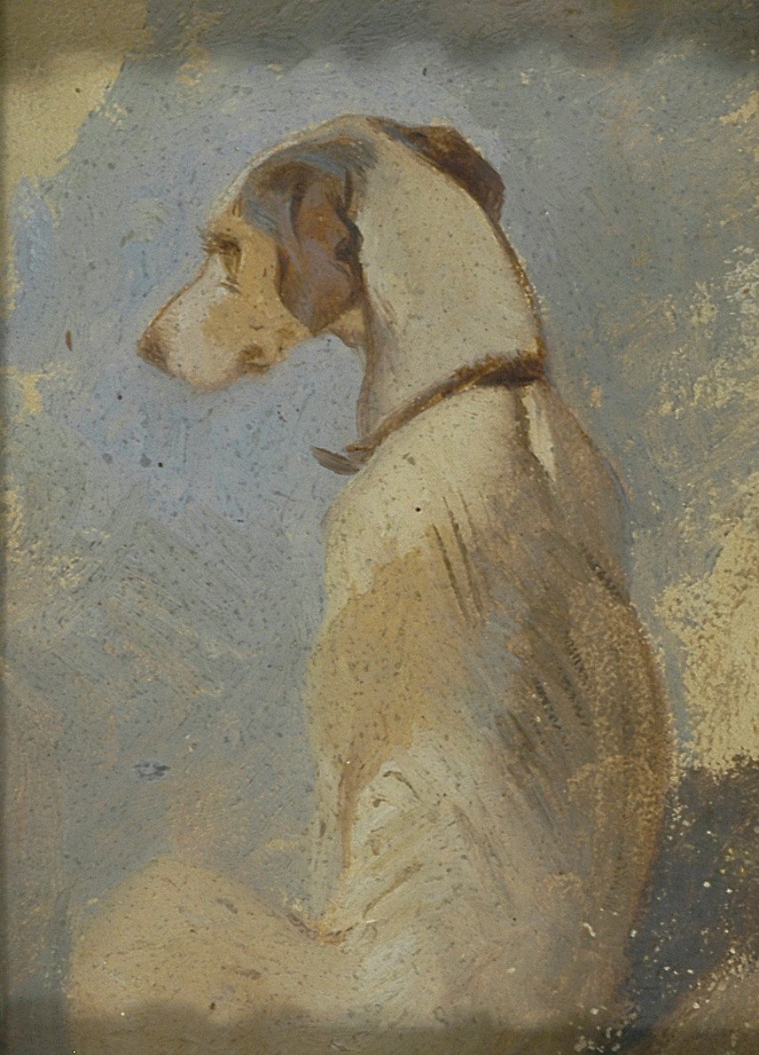 Studio di un levriero da Sir Edwin Henry Landseer