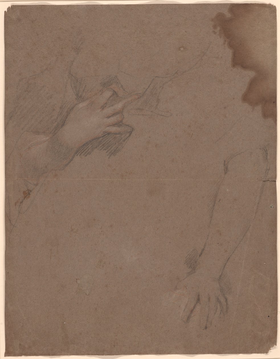 Disegni di Mani da Sir Peter Lely