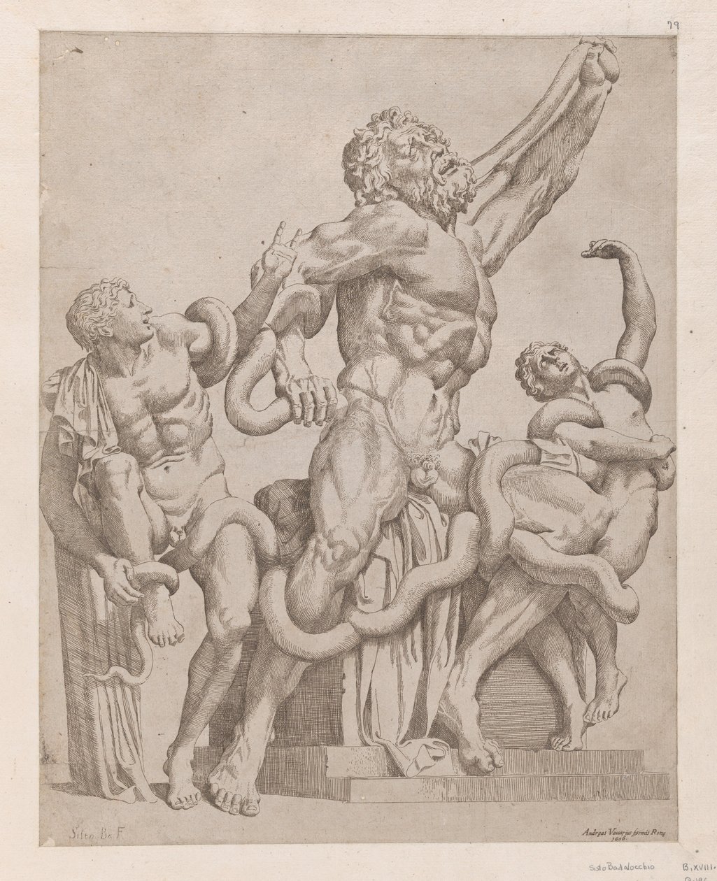 Speculum Romanae Magnificentiae: Laocoonte, 1561 da Sisto Badalocchio