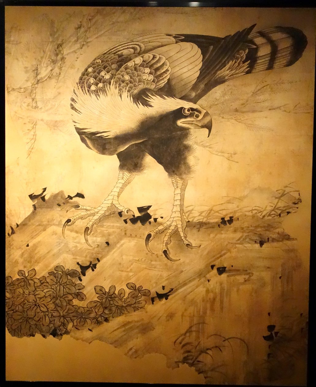Falco da Soga Shohaku