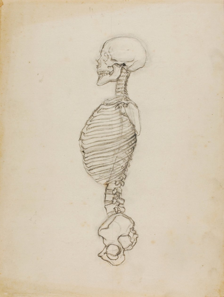Anatomia da Solon H. Borglum