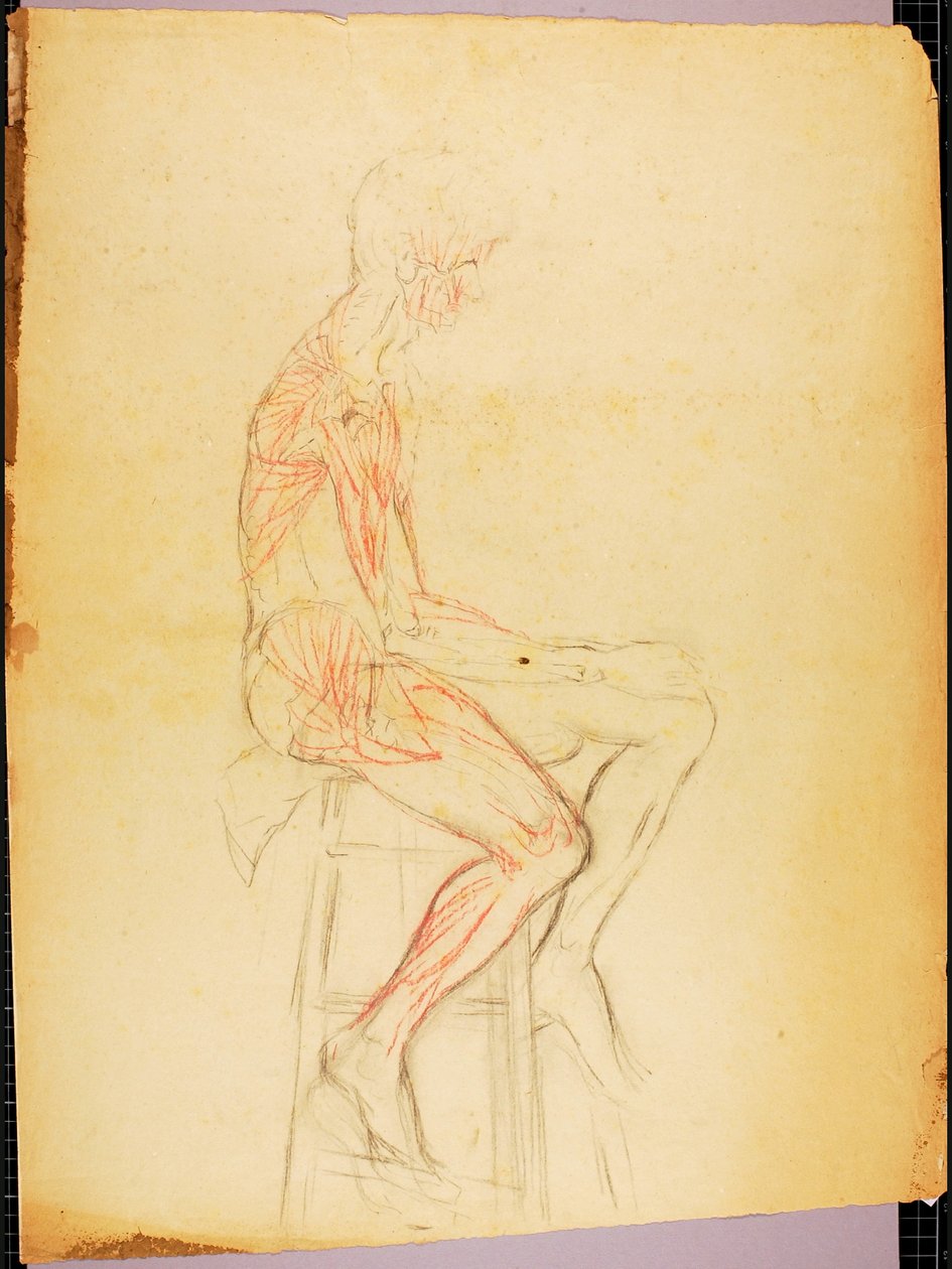 Ragazzo da Solon H. Borglum