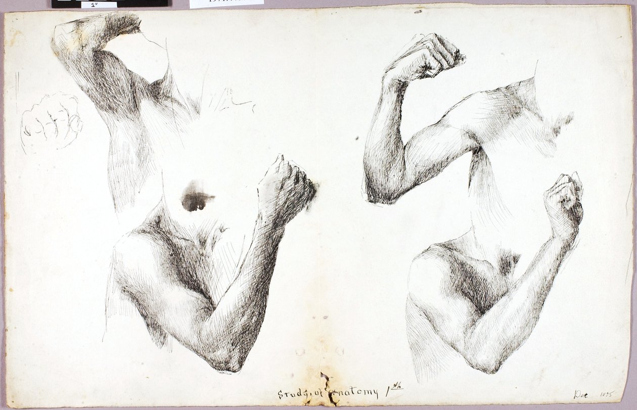 Studi a quattro braccia, n. 1 da Solon H. Borglum