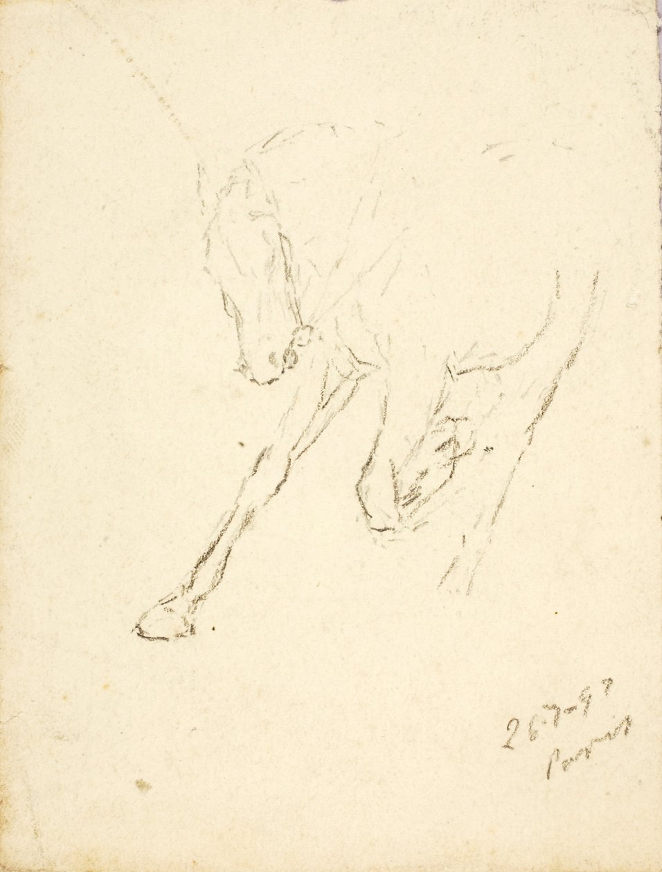 Cavallo da Solon H. Borglum
