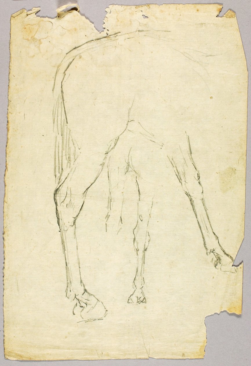 Cavallo da Solon H. Borglum
