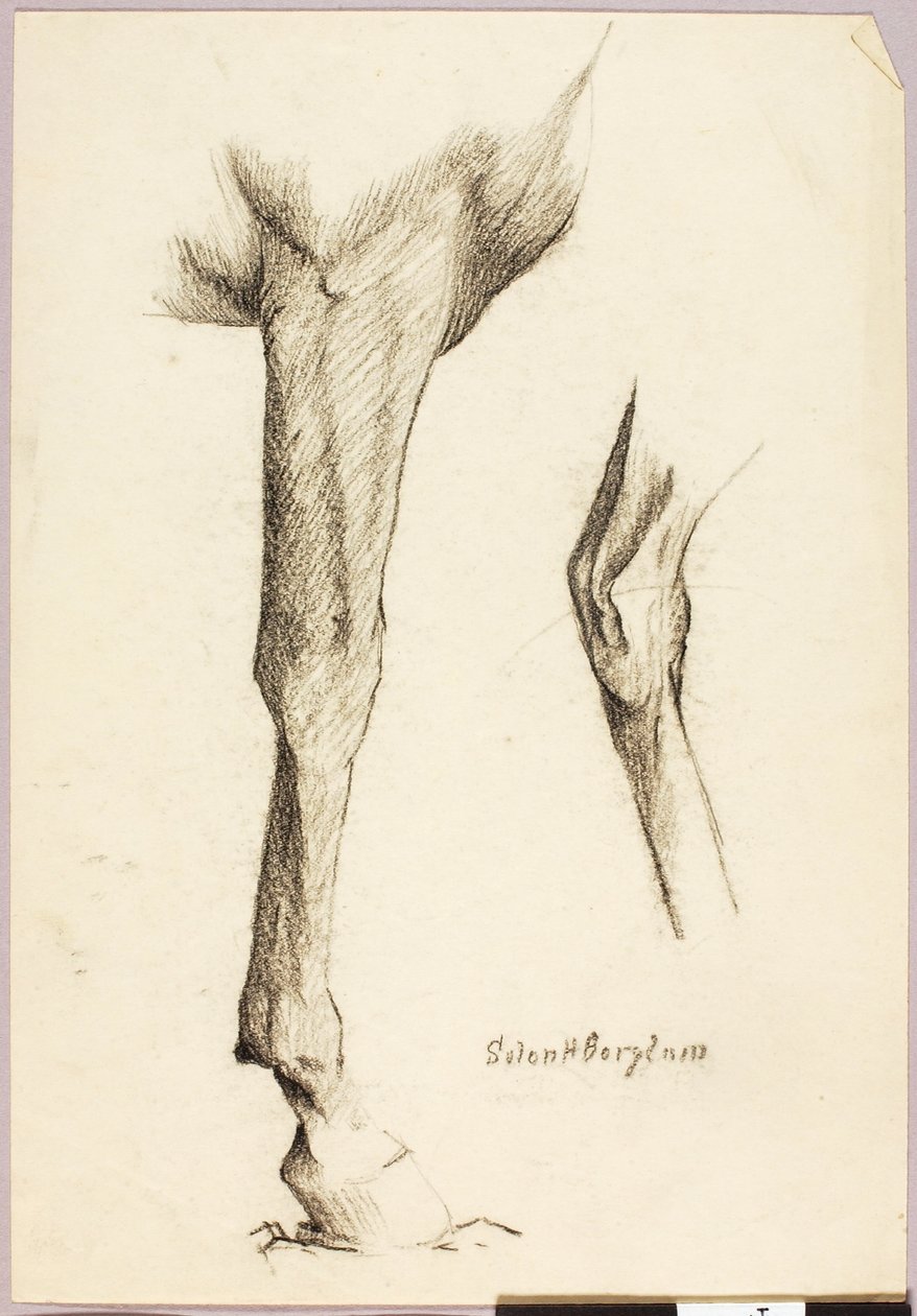 Studio sul cavallo da Solon H. Borglum