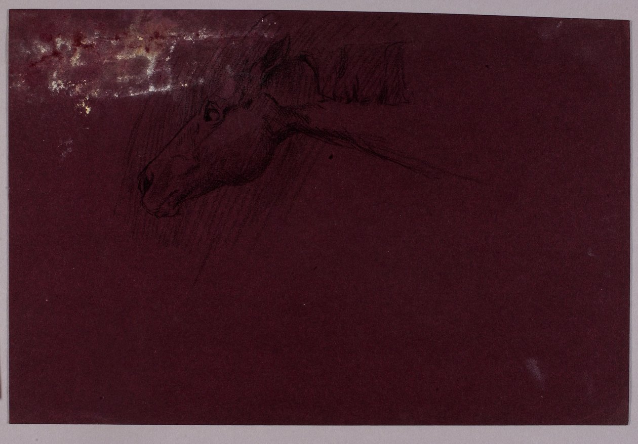 Testa di cavallo da Solon H. Borglum