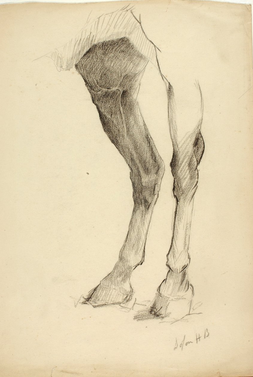 Gamba del cavallo da Solon H. Borglum