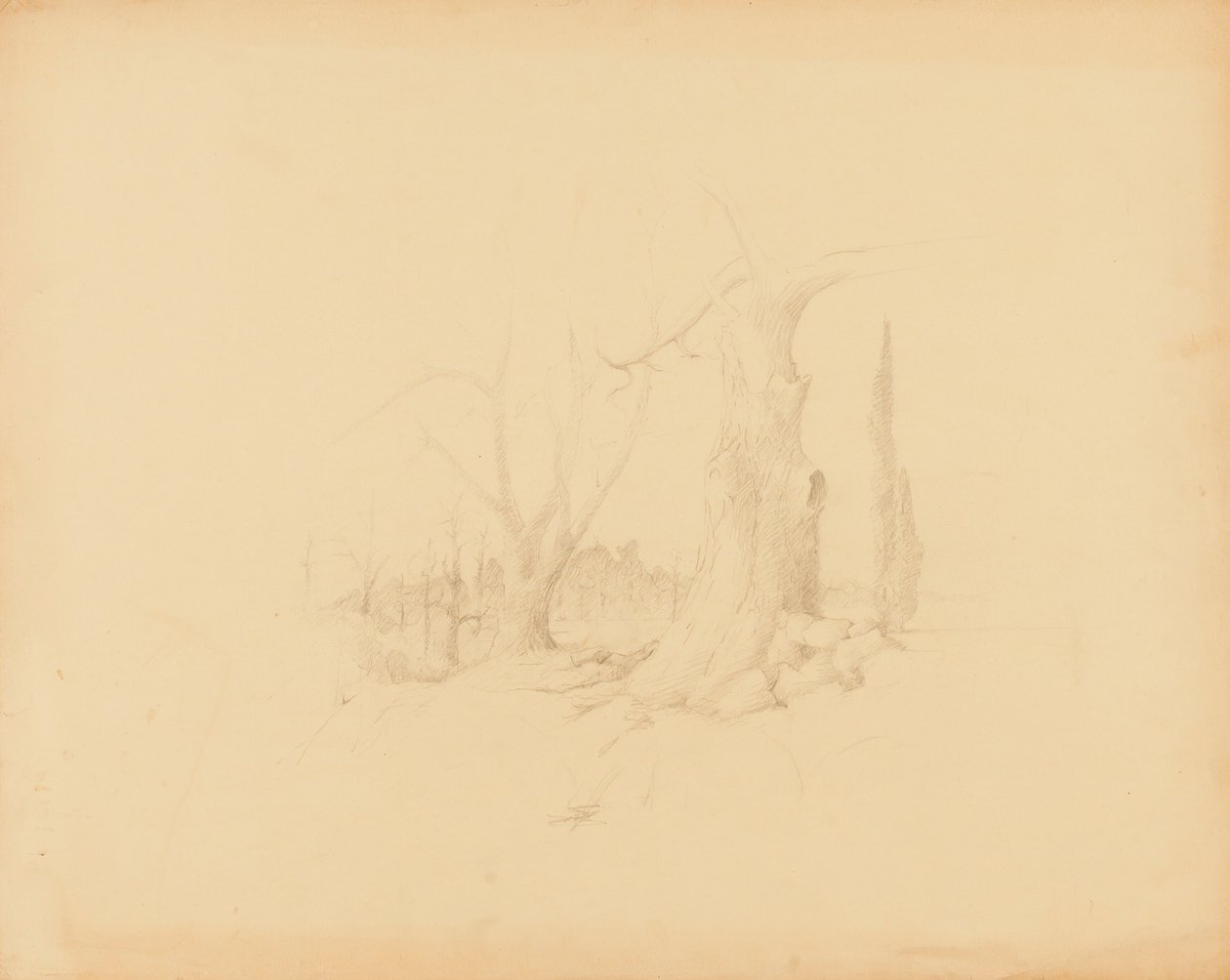 Paesaggio da Solon H. Borglum