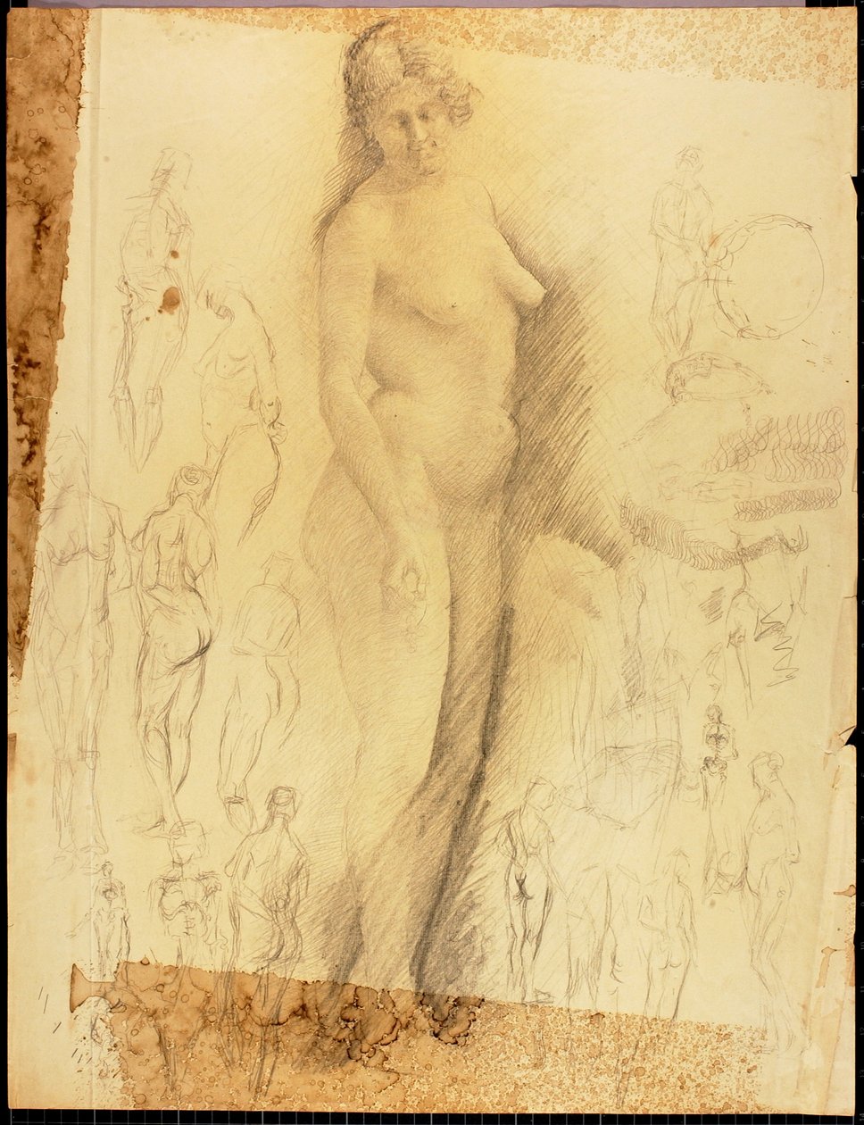 Nudo da Solon H. Borglum