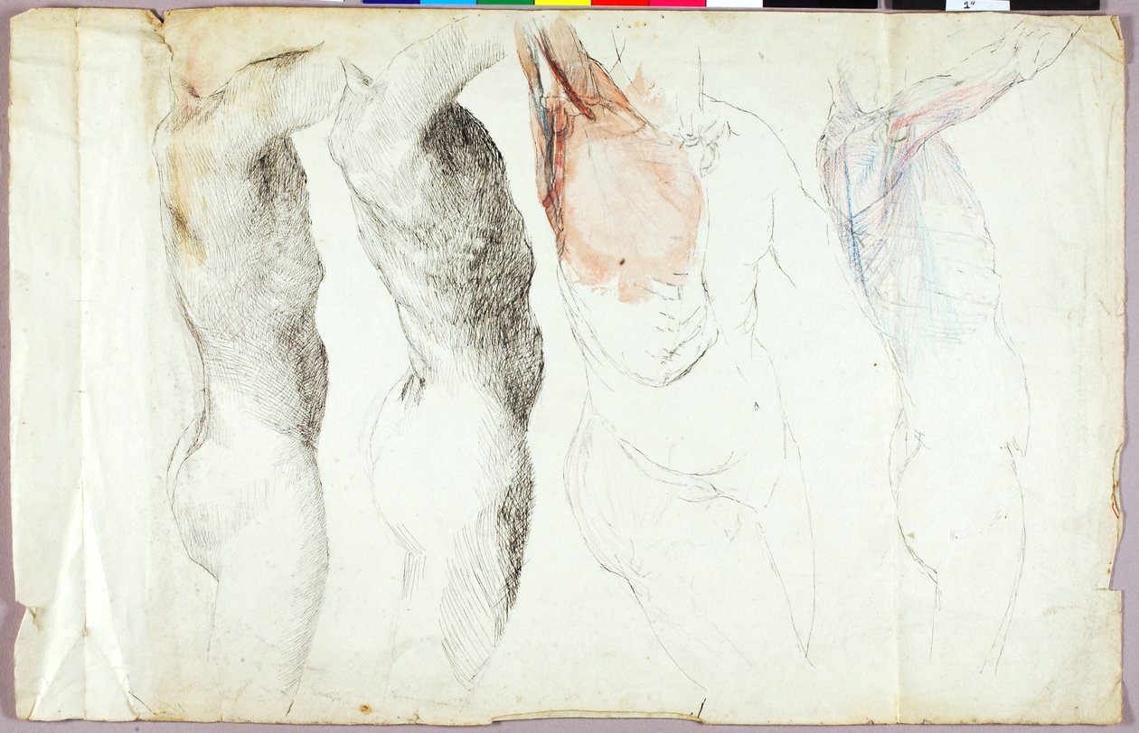 Studi sul nudo da Solon H. Borglum